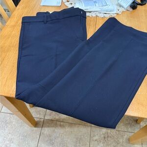 Ann Taylor Navy Straight Leg Pants